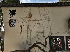 -老木棉·匠园