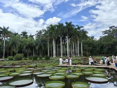 -中国科学院西双版纳热带植物园