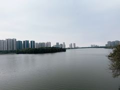 -飞来湖湿地公园