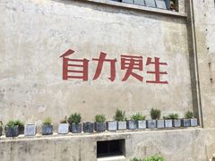 -more than meow吴止猫主题餐厅(承德 中船汇店)