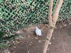 -音乐台