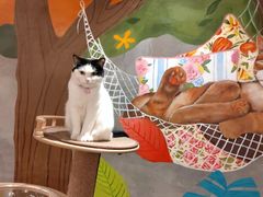 -么么咖啡(燕郊店)