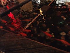 -悦慕·花满溪(新城吾悦店)