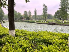 -河泥荡文化公园