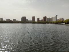 -莲花池公园