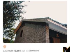 -王借岗森林公园