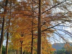 -凤岗南门山森林公园