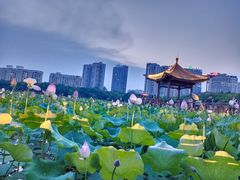 -南宁南湖公园