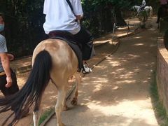 -水濂山森林公园