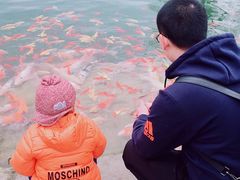 -三圣花乡旅游区