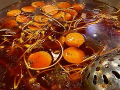 -肖肖酸萝卜鱼火锅(总店)