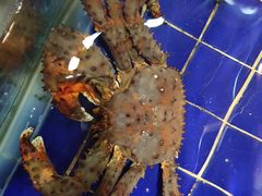 -79号渔船海鲜饭店(华强北店)