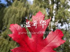 -固兰湖岛