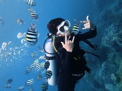 -亚龙湾海底世界