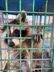 -萌宠亲子动物乐园(槐房万达店)