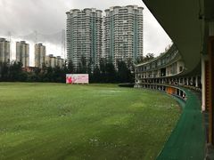 -棕榈泉国际高尔夫学院