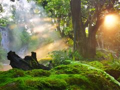 -Chom Cafe and Restaurant