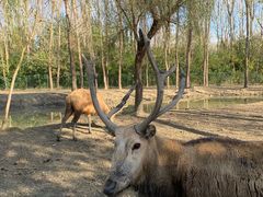 -溱湖国家湿地公园