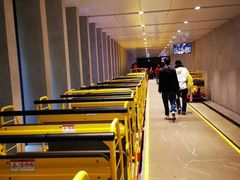 -波斯托伊纳溶洞