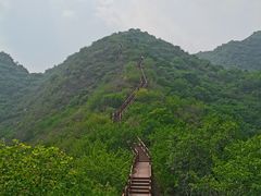 -大岭沟猕猴桃谷风景区