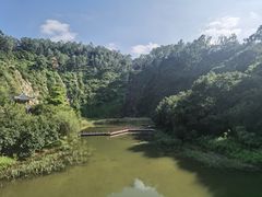 -水濂山森林公园