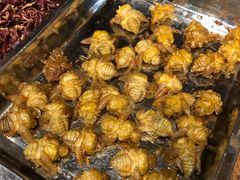 -昆虫窝子·特色云南菜(拓东路总店)