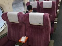 -文府路口(Taiwan High Speed Rail Zuoying Station)