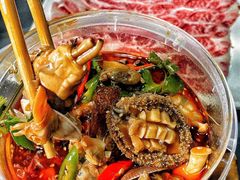 -金龙·打边炉(南京西路店)