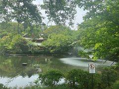 -井之头恩赐公园