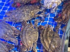 -77号渔船·蒸海鲜青岛菜(积米崖店)