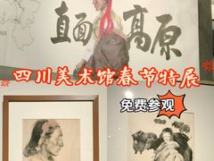 -四川美术馆