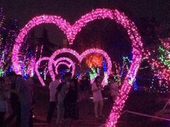 -济南国际园博园