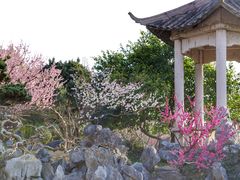 -梅花山(明孝陵内)