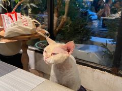 -自由生长植物工作室(深港花卉中心店)