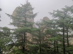 -崂山巨峰游览区