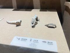 -烟台市博物馆