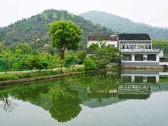 -树山生态村