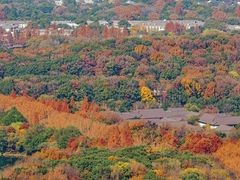-九曜山