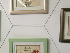 -上海昆虫博物馆