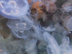 -多彩贵州城极地海洋世界