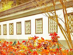 -中日友好医院(本部)