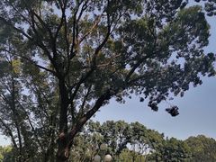 -人民公园(罗湖区)