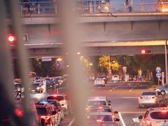 -BUS TOUR观光巴士