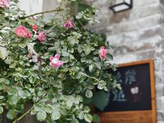 -创艺无限·赵春香微妙艺术馆