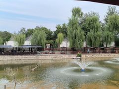 -尚庄度假村·庭台树下·户外烧烤·团建CS·轰趴营地(上庄水库店)