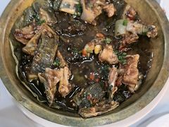 -明本湛江鸡•海鲜小厨(陈家祠店)