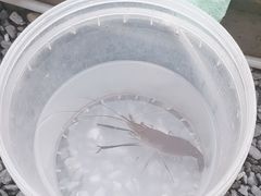 -DGE季风钓虾营地·团建·聚会
