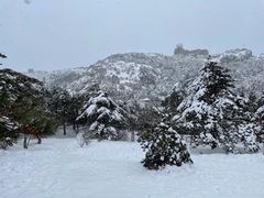 -黄山风景区