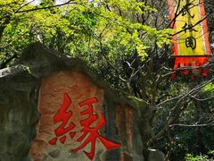 -杭州黄龙洞