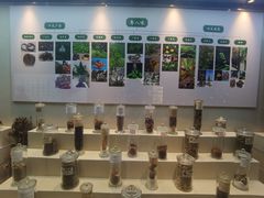 -广东中医药博物馆